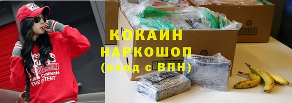 мет Касимов