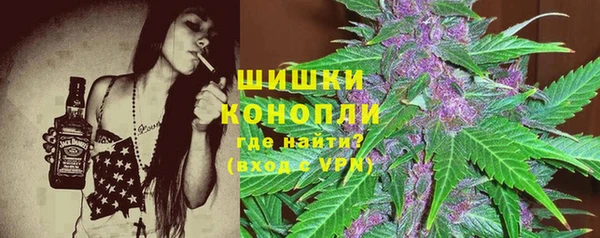 мет Касимов