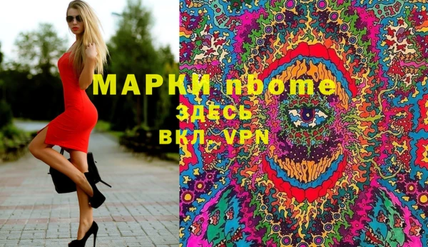 мет Касимов
