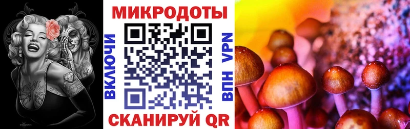 Галлюциногенные грибы Psilocybine cubensis  Купить закладки  Дагестанские Огни 