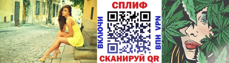 Бошки марихуана AK-47  Купить где  Дагестанские Огни 